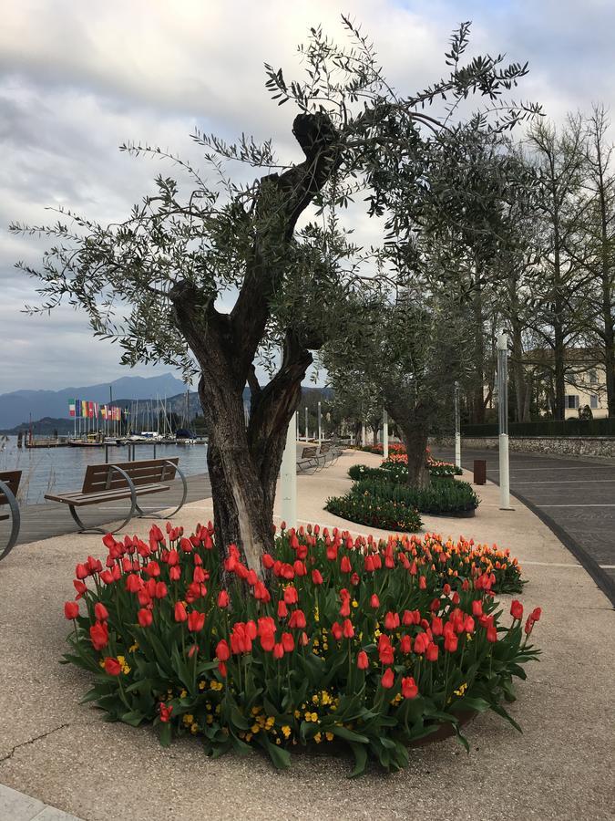 Cabà Holiday Bardolino D'Annunzio Extérieur photo